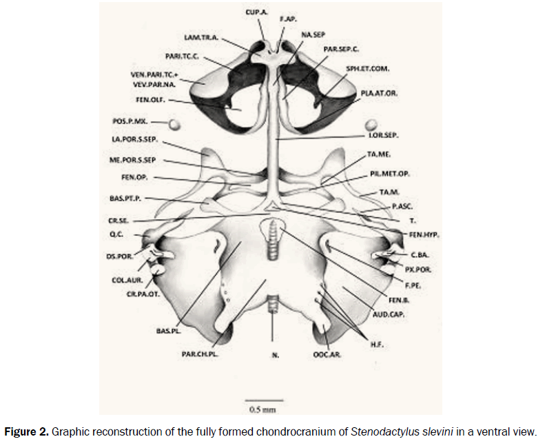 zoological-sciences-reconstruction