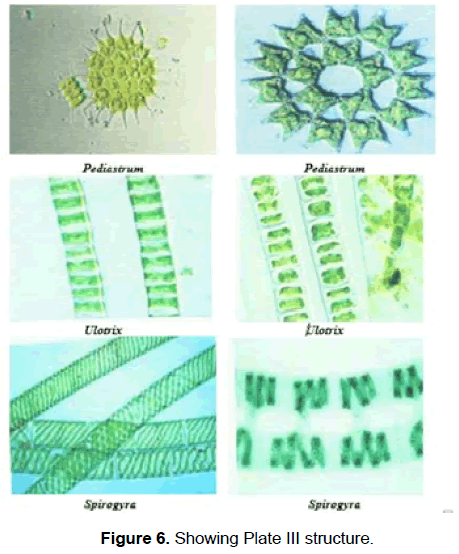 zoological-sciences-showing