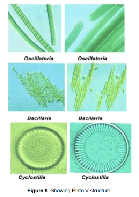 zoological-sciences-showing