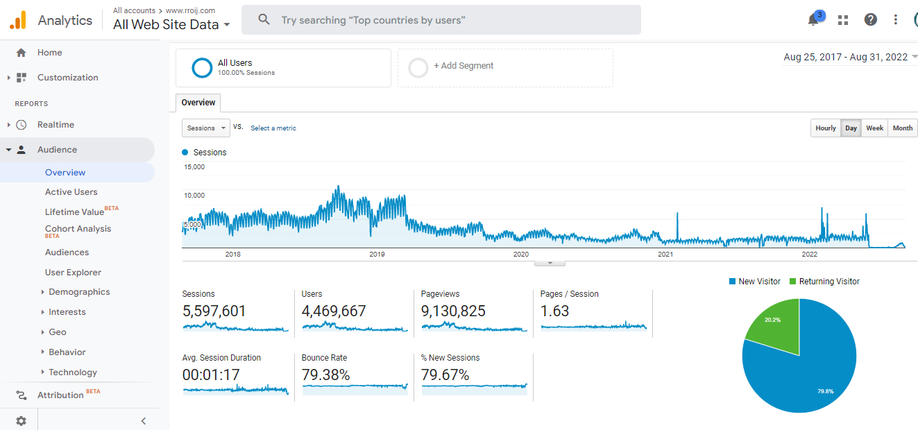 Visitor Analysis Report